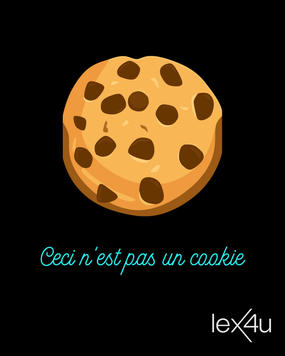 Image of a cookie with the text "This is not a cookie", in reference to web cookies
